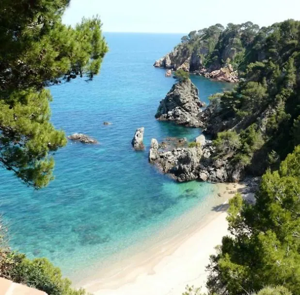Calella Golfet Sobremar Apartment Calella De Palafrugell Spain